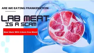 LAB GROWN MEAT IS A SCAM: HERES THE TRUTH ABOUT LAB GROWN MEAT