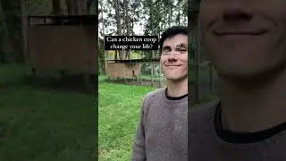 Can a chicken coop change your life? 🤔🤔