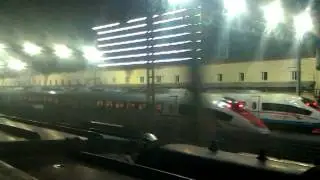 Сапсаны ...