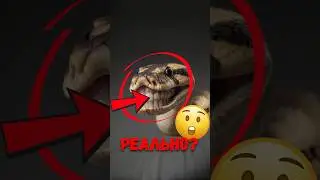 🐍 Змеи пьют воду совсем не так, как люди! 