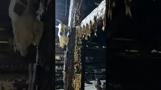 Дом викингов
