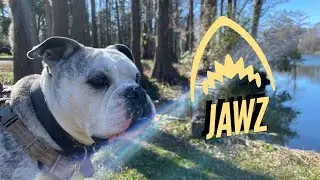 Jawz adventure