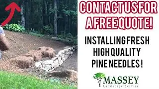 Pine Needle Installation