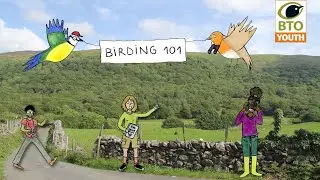 #BTOYouth Birding 101 - Getting started with birdwatching