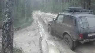 НИВА МОЖЕТ