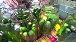 Отличные маринованные огурцы с кабачками