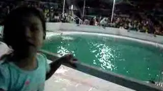Dolphin Show @ MoA - part1