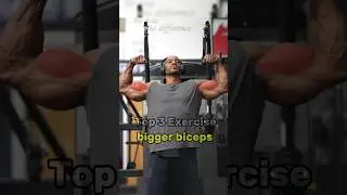 Bigger Biceps Workout | 3 Effective Exercises