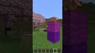 DER BESTE MINECRAFT WITZ! 