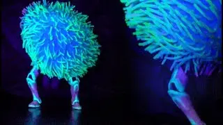 Dancing Furry Ball!