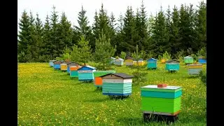 Промышленник Александр Гузеев ч 2
