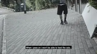 The Story of an Unsung Cat Hero [A Cat Feeder]