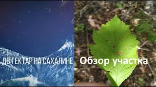 Обзор земельного участка.Странная канава ) Реальная история ДВ Гектар.2ая серия.