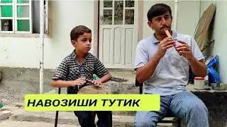 НАВОЗИШИ ТУТИК МОФИКИ ТАЛАБ