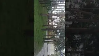 21 июля 2019 г.