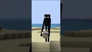 Are you a Minecraft Veteran?🤨