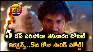 Saripodhaa Sanivaaram 5 Days Collection Worldwide | Saripodhaa Sanivaaram Day 5 Total Collection