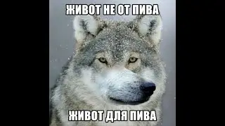 Бухая ТамбовскаяПсина пердит в микрофон. Нарезки с восхода Warface