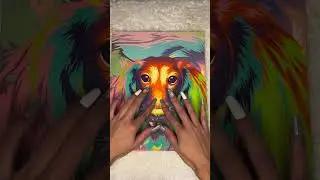 ASMR Dog Face Tracing 