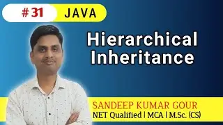 Hierarchical Inheritance in JAVA | JAVA Programming