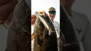 Dustin Connell's top 3 tips for fishing the PXR Mavrik™