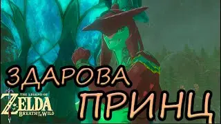 ДАЛЁКОЕ ПУТЕШЕСТВИЕ К НАРОДУ ЗОРА ► The Legend of Zelda: Breath of the Wild #11
