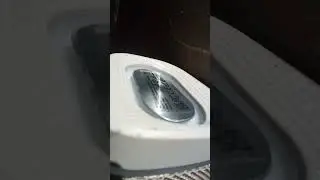 басс тест продолжение