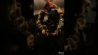 Лайк(5)