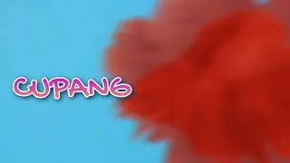 CUPANG , PIKA AND KOKI
