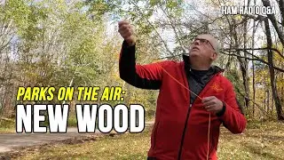 A quest for the best hamburger leads me to the New Wood