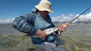 Fishing with Ben 12 Feb 2019