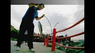 Kıyıdan Palamut Yakalama ve Yöntemi
