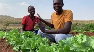 Growing good organically