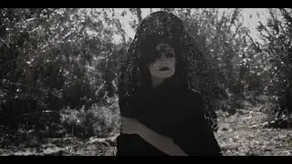 VIOLBLAST - Lazarus Abandoned