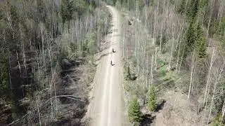 Вело ПВД в тайгу на "лесную дачу", май 2020, Кемерово