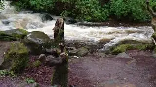 Killarney Torc Waterfall and Rivers