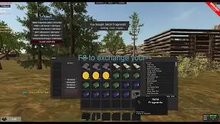 How to use new items (DizzyRust)