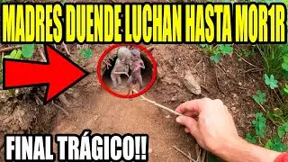 DUENDE SALE de su CASITA y se MUESTRA ante los HUMANOS por primera vez 99 | Laguna Negra