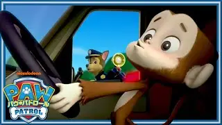 ぬすまれたくるまをおいかけろ | パウ・パトロール公式