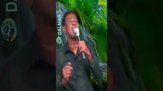 Ciise Xabiibi | Heesta Deeqa Qanciya