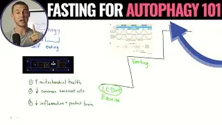 How to fast for AUTOPHAGY 101 - The Ultimate Guide