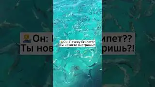 Когда планируешь ехать в Египет,но есть одно НО😲 #лайфхакидляпутешествий #длянастроения #египет2023