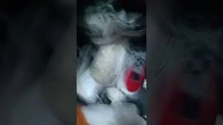 perdón me equivoque sorry pero ya lo dejo así parte 3