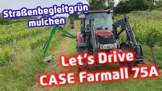 Let's Drive CASE Farmall 75A | Straßenbegleitgrün mulchen