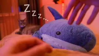 ASMR UP CLOSE HAND SOUNDS 💤 COZY PERSONAL ATTENTION