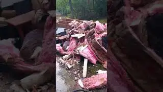 Post Harvey 2017 cleanup