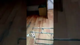 Проходной. Капкан на бобра....