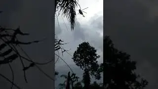 Begini Penampakan Si Helikopter Mengambil Air Sungai