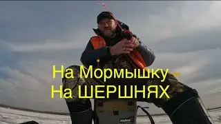 Плотва на мормышку. Последний лёд.