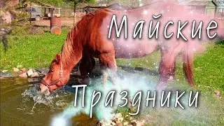 Майские Праздники
